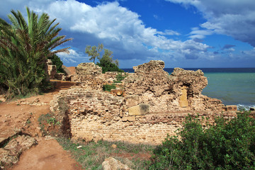 Wall Mural - Tipaza, Algeria, Ancient Rome, Africa