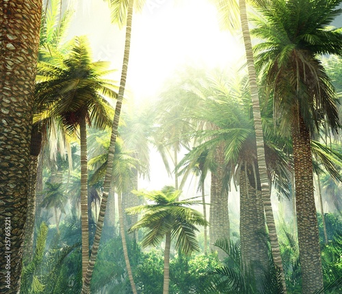 Plakaty dżungla   dzungla-w-dymie-palmy-we-mgle-poranny-las-tropikalny