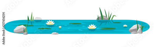 Cuadros en Lienzo Small blue decorative pond with white water lilies, bulrush plants, stones aroun