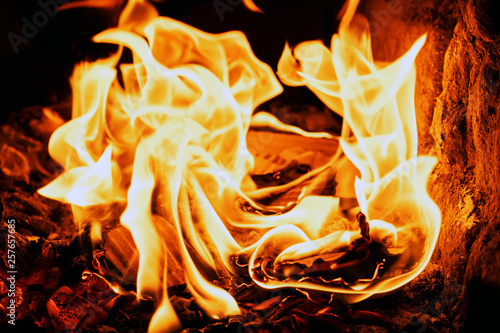 Books And Paper Burning In Fireplace Devouring Terrible Flame