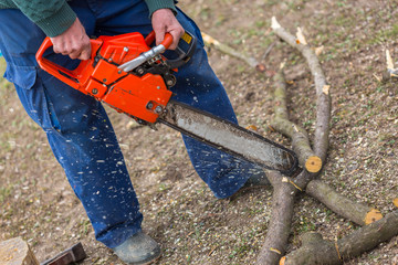 Canvas Print - Old man holding orange chainsaw with his bare hands and cutting a branch placed on the ground. Orange chainsaw in action.