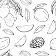 Seamless pattern with mango. Vector line drawing
