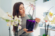 Woman checking her orchids on kitchen. Housewife taking care of home plants and flowers.