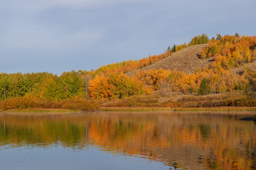 Poster - Scenic Teton Landscape in Fall