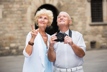 Wall Mural - Romantic senior couple making photo of city