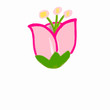 Tulip flower