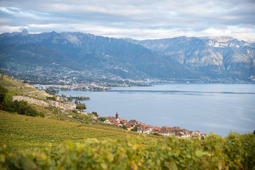 Wall Mural - Vignes autour du lac Léman, Suisse