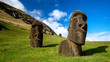 Easter Island Moaï - Ile de Pâques