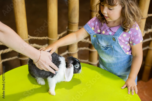 Fotomural Adorable little girl playing with rabbit at the petting zoo