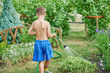 © Artem - Boy is watering the plants from the hose in the garden.