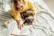 High Angle View Of Beautiful Young Woman Reading Book While Lying In Bed With Scottish Fold Cat