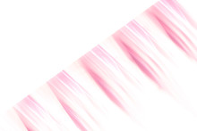 Abstract Rose Pink Pattern Background - Textured Blurry Stripes With Isolated White Space
