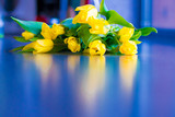 Fototapeta Tulipany - kwiaty na Dzień Matki