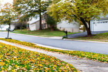 Northern Virginia, Fairfax County Residential Neighborhood In Autumn With Houses And Paved Road With Nobody And Many Fallen Autumn Scenic Yellow Leaves Foliage Season