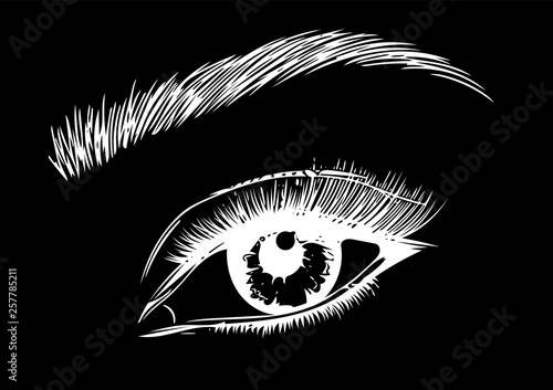 Eye On Black Background Eyes Art Woman Eye The Eye Logo Eyes
