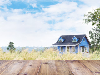 Blue summer country house in the wild grass field