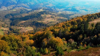 Wall Mural - aerial view moving forward over forest with green and yellow foliage autumn sunny day in mountains