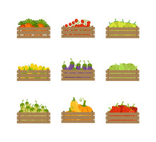 Wooden Crates With Farm Vegetables Set, Organic Food, Carrot, Tomato, Pepper, Corn, Eggplant, Farmers Market Design Element Vector Illustration