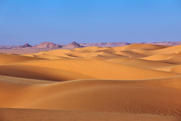 Wall Mural - Dune, Sand, Desert, Algeria, Sahara, Egypt, Tunisia, Africa