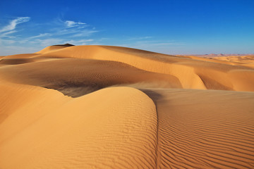 Wall Mural - Dune, Sand, Desert, Algeria, Sahara, Egypt, Tunisia, Africa