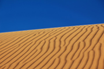 Wall Mural - Dune, Sand, Desert, Algeria, Sahara, Egypt, Tunisia, Africa