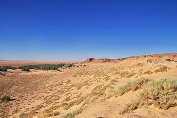 Wall Mural - Dune, Sand,  Sahara, Timimoun, Algeria