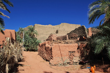 Wall Mural - Dune, Sand,  Sahara oasis, Timimoun, Algeria