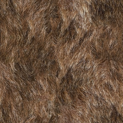 Wall Mural - Seamless texture of animal fur