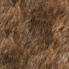 Wall Mural - Seamless texture of animal fur