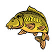 carp fish bald without scales color clipart