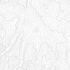 Wall Mural - light topographic topo contour map background, stock vector illustration