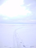 Fototapeta Dziecięca - Snow, white sky and earth path