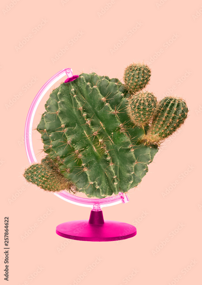 Photo Stock Eco-friendly planet. Green rounded cactus spinning as a globe  with the pink stand against light background. Alternative view of Earth,  spiny and multiple. Modern design. Contemporary pop-art collage. | Adobe