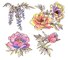Set With Traditional Watercolor Flowers, Chrysanthemums, Peonies, Dahlias, Wisteria On A White Background. Asia Culture Symbols Bundle. Chinese Sketches. Asian Drawings Collection. 