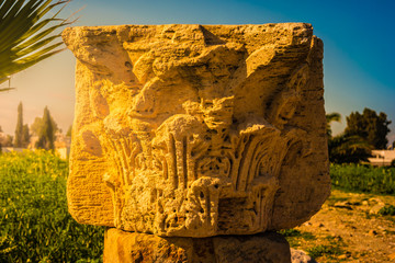 Wall Mural - Ruins of Carthage, capital city of the ancient Carthaginian civilization, in Tunisia