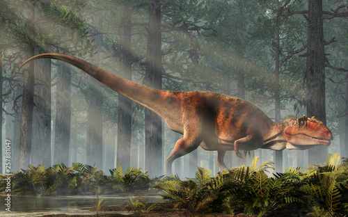 Plakat na zamówienie Giganotosaurus, one of the largest known terrestrial carnivores, was a carcharodontosaurid theropod dinosaur. The creature stands in a forest of fir trees with a floor of ferns. 3D Rendering. 