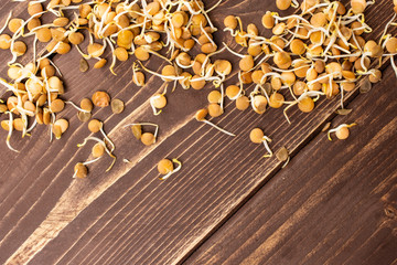 Lot of whole raw fresh yellow lentil sprouts flatlay on brown wood