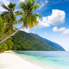 Wall Mural - Idillyc tropical island beach - warm sea, palm trees, blue sky