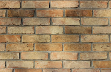 Old light brown brickwork under the shade of tree branches. Perfect background for photo wallpapers.