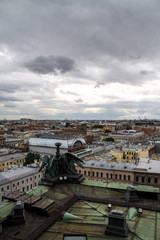 Wall Mural - View of the roofs of St. Petersburg