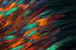 Leinwandbild Motiv Colorful close up photo of chicken feathers. Shimmer colors of wing. 