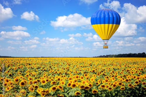 Dekoracja na wymiar  balon-na-ogrzane-powietrze-z-flaga-ukrainy-latac-nad-polem-slonecznikow-renderowanie-3d