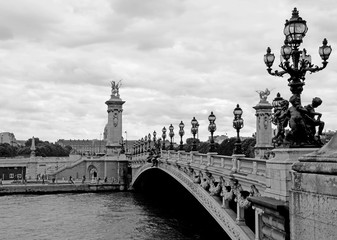 Canvas Print - Alexandre III bridge in Paris, France