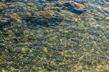 Aerial Local Landscape Photography Shallow Water Rocky Shoreline Of North River Mountain Stream With Blurred From The Sun Surface, Copy Space