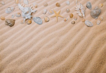 Sea shells and sailing ship with sand as background. Summer beach. Top view. Background with copy space and visible sand texture