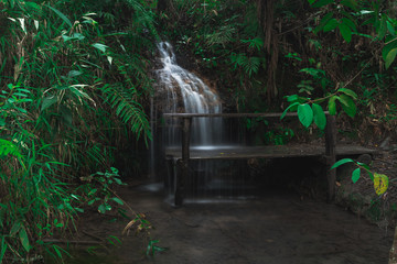 Canvas Print - waterfall in the forest