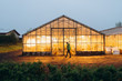 the greenhouse glows with yellow light in the supper. The guy is near the greenhouse