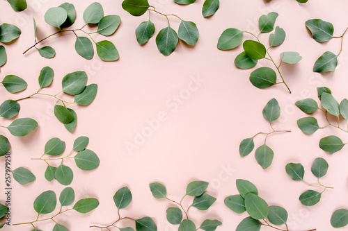 Fotografía The workspace is decorated with green eucalyptus leaves, floral pattern on a pink background