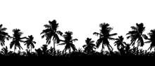 Pattern Or Background With Realistic Silhouette Of Tree Tops, Tropical Palm Trees, Isolated On White Background With Space For Text, Vector