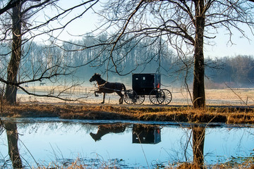 Amish Buggy Reflected in Pond